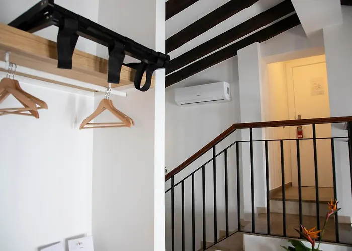 Vitium קורדובה