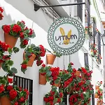 호텔 Vitium 2*