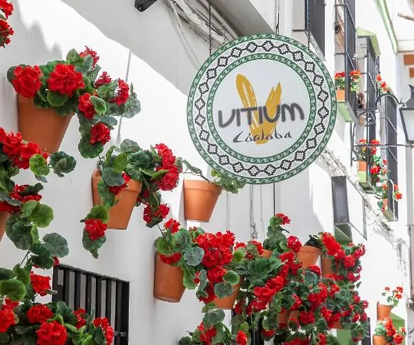 Отель Vitium 2*