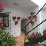 Hotel Vitium Cordoba